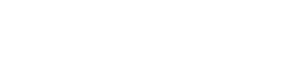 Institut Nouveaux Genres